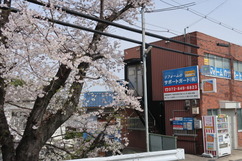 サポートガードの玄関前の「桜」が満開です